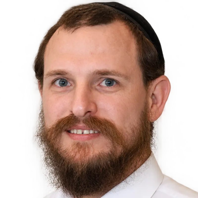 עזריאל שטיינר, פורטרט